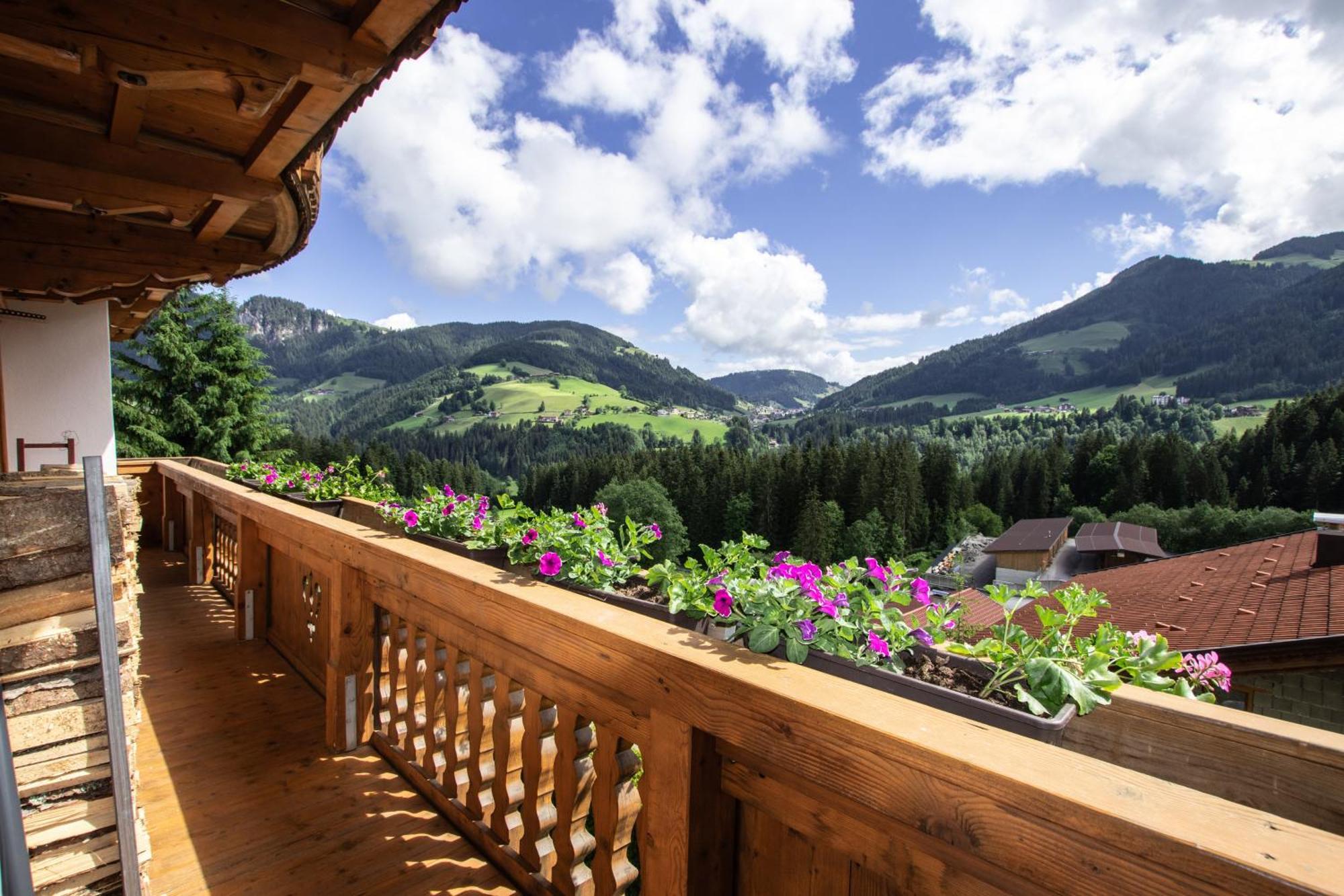 Gittis Ferienwohnung Panorama Wild31 Bernau  Exterior photo